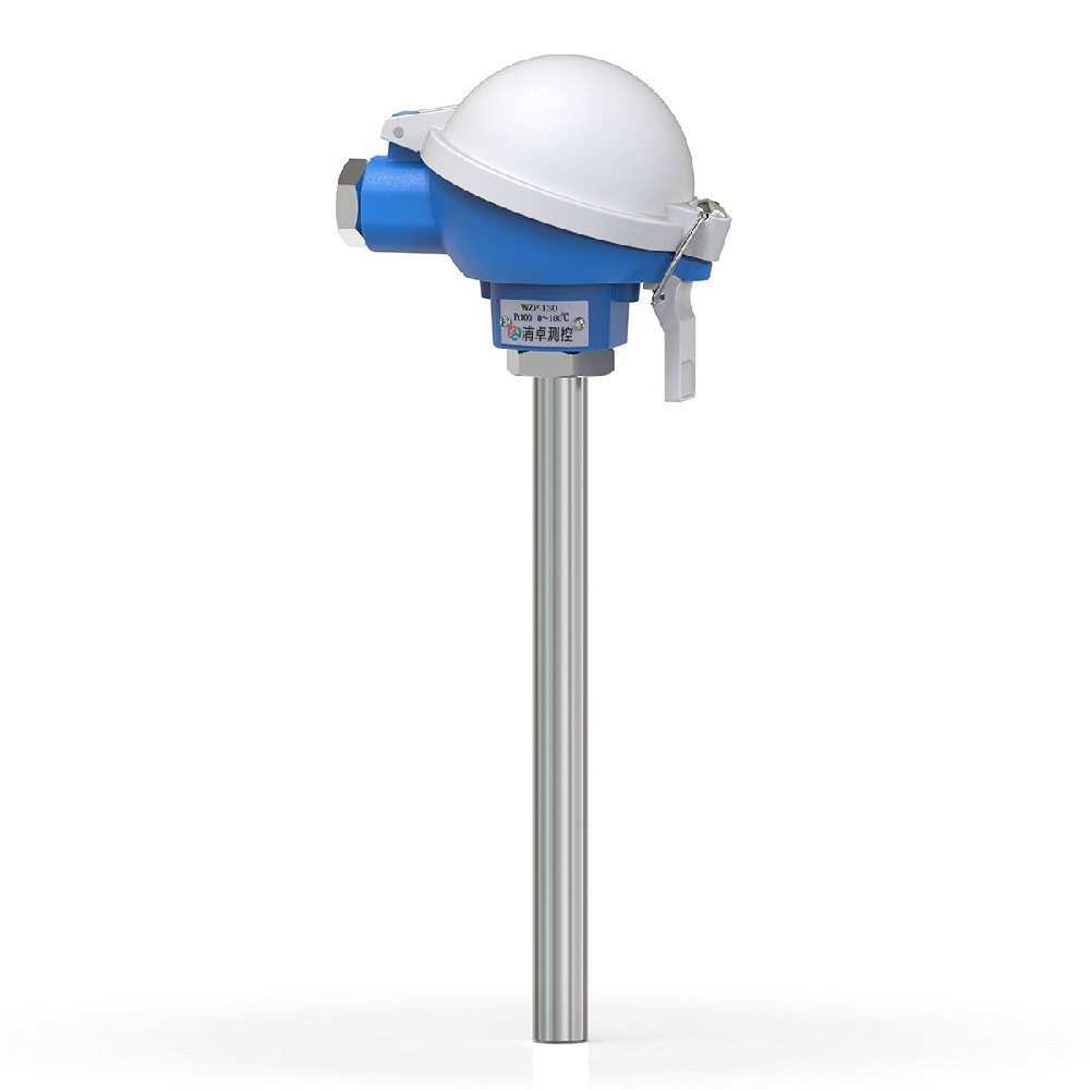 Montierter Widerstandsthermometer-Temperaturumsetzer