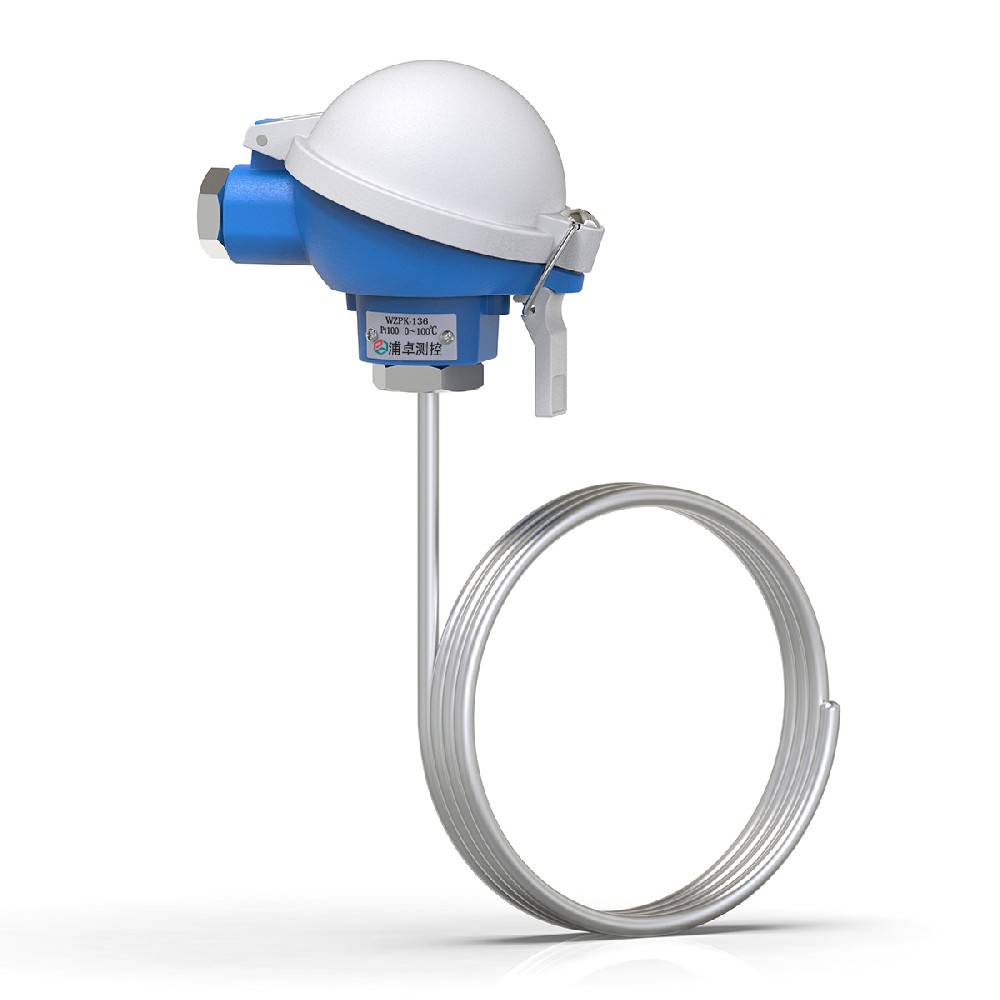 Armierter Widerstandsthermometer-Temperaturumsetzer